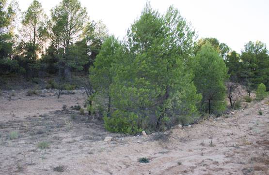 Urban ground in urbanization La Buitrera, Parc 37, Siete Aguas