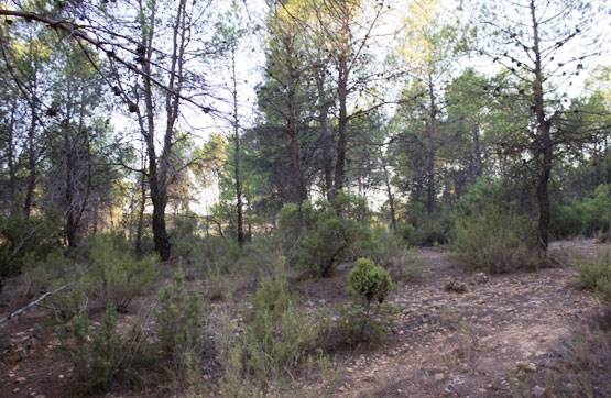 Urban ground in urbanization La Buitrera, Parc 37, Siete Aguas