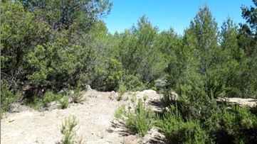 Autres de 150m² dans zone ind. Partida La Llomaina, Vilamarxant, Valencia