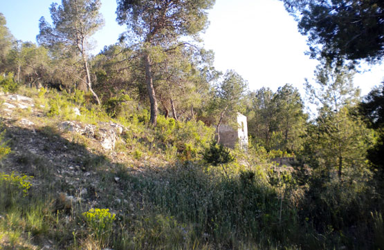 Others in road Fuente Del Cañar De Bugarra, Casinos