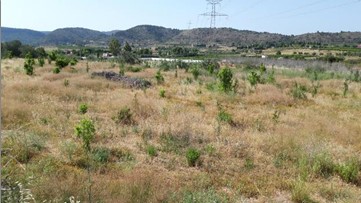 Otros  en partida Pla Del Azud Polig.17 Parcela 132, Montroi/montroy