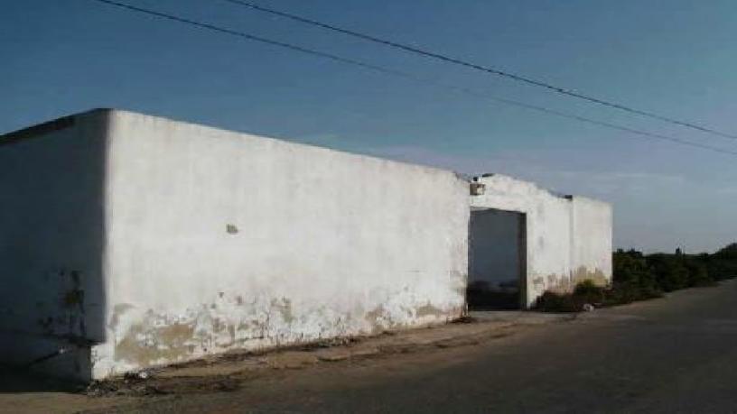 Obra parada en camino Mallaes, Algemesí, Valencia