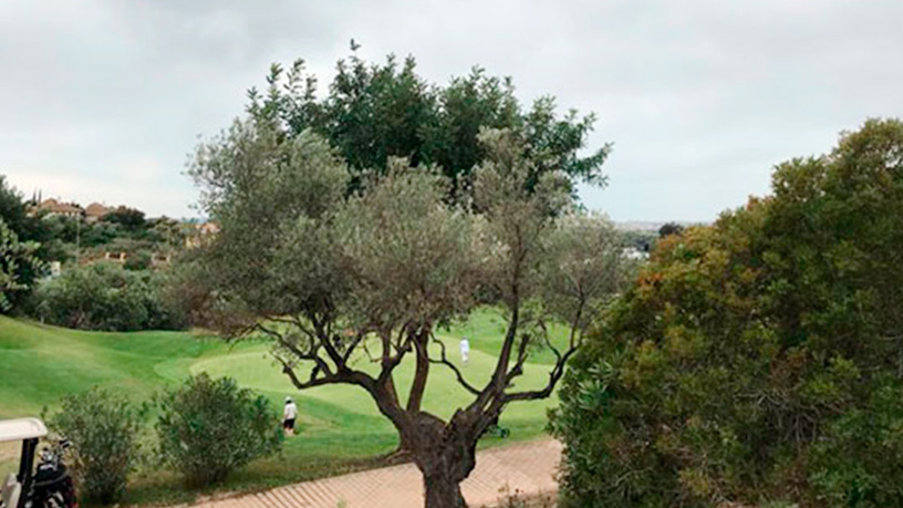 SUELOS URBANOS EN URBANIZACIÓN MONTECASTILLO GOLF I