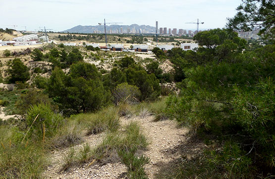  Development in urbanization Sector, Finestrat, Alicante