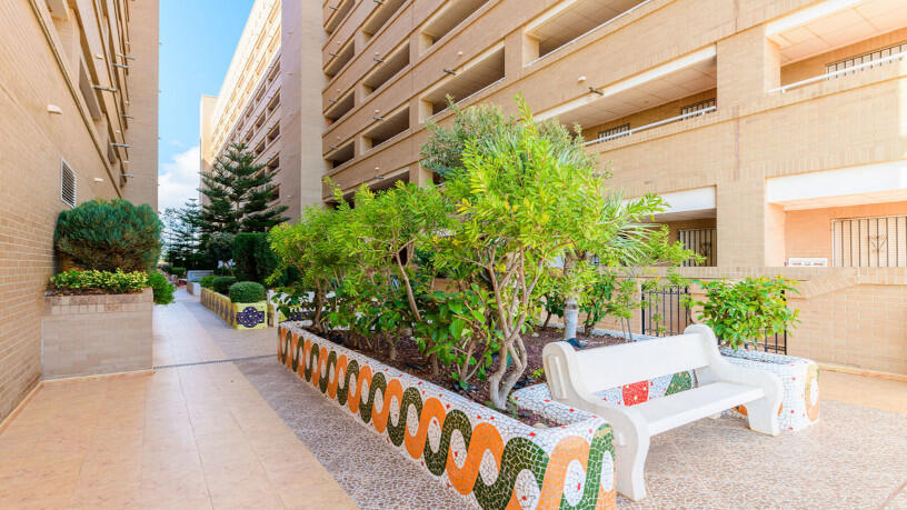  Development in avenue Central, Oropesa Del Mar/orpesa, Castellón