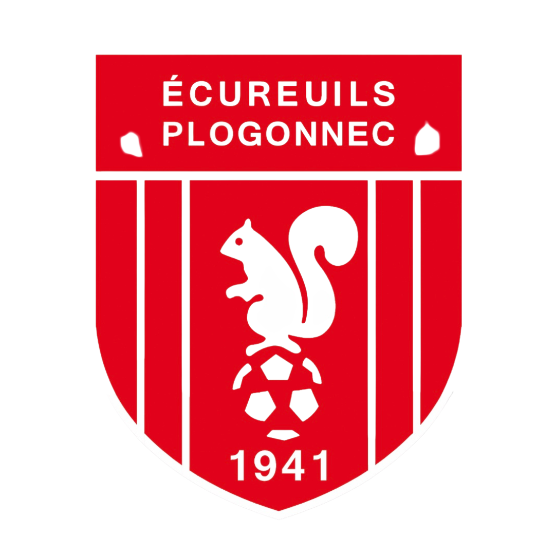 Logo ES PLOGONNEC