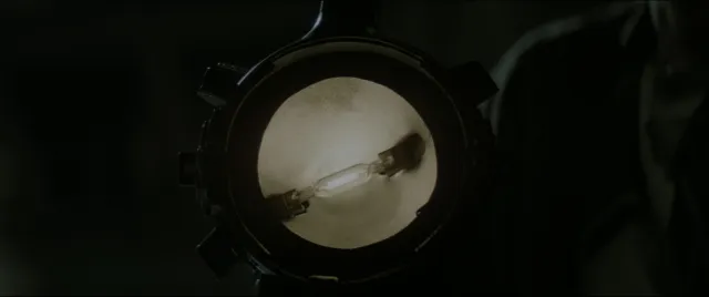 Mystery Film