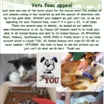 vets fees appeal3