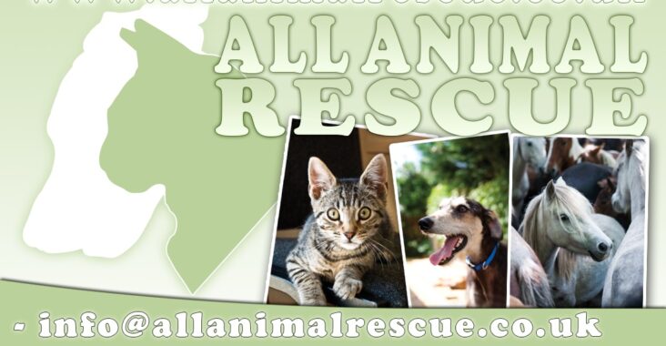 All sales animal rescue