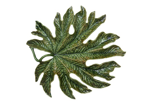 Chestnut leaf