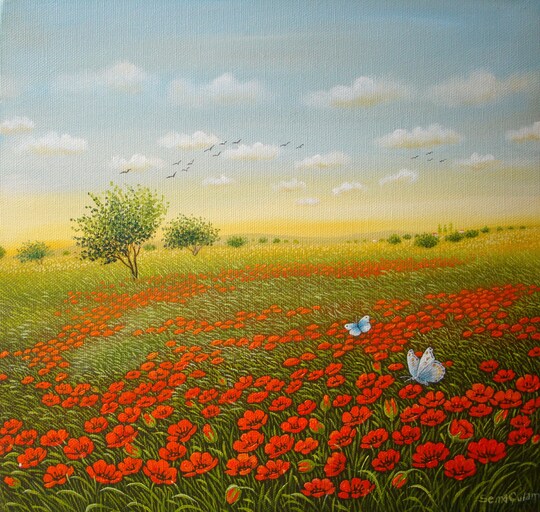 Poppies