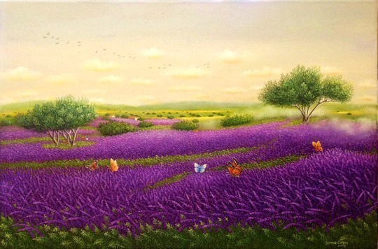 Lavander