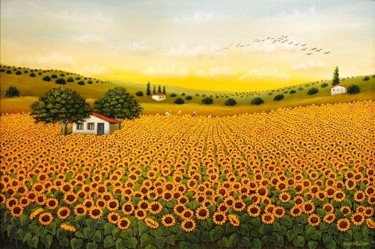 Sunflowers