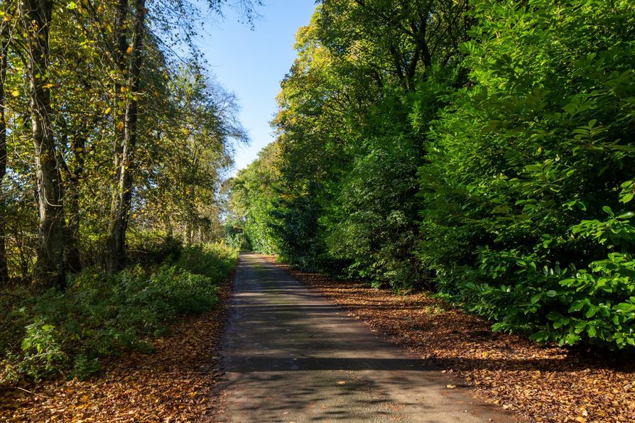 Bangour Village Estate - Image 1