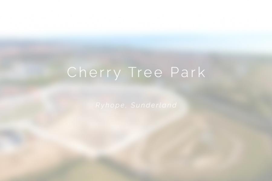 Cherry Tree Park in Sunderland - 4