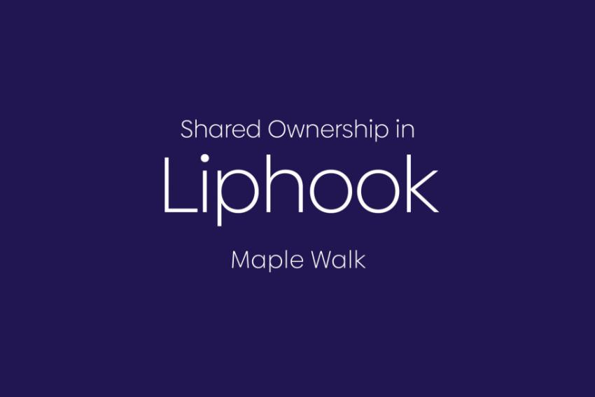 Maple Walk - Image 1