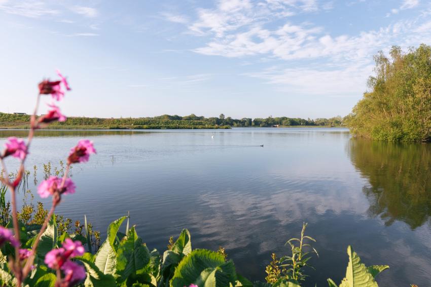 Shipley Lakeside in Heanor - 1