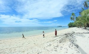 16 Wakatobi Island Indonesia Attractions Diving Spots