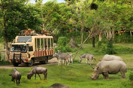 Top 10 Things to Do in Bali Safari and Marine Park Indonesia