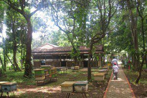 15 Beautiful Things To Do In Cibubur Indonesia