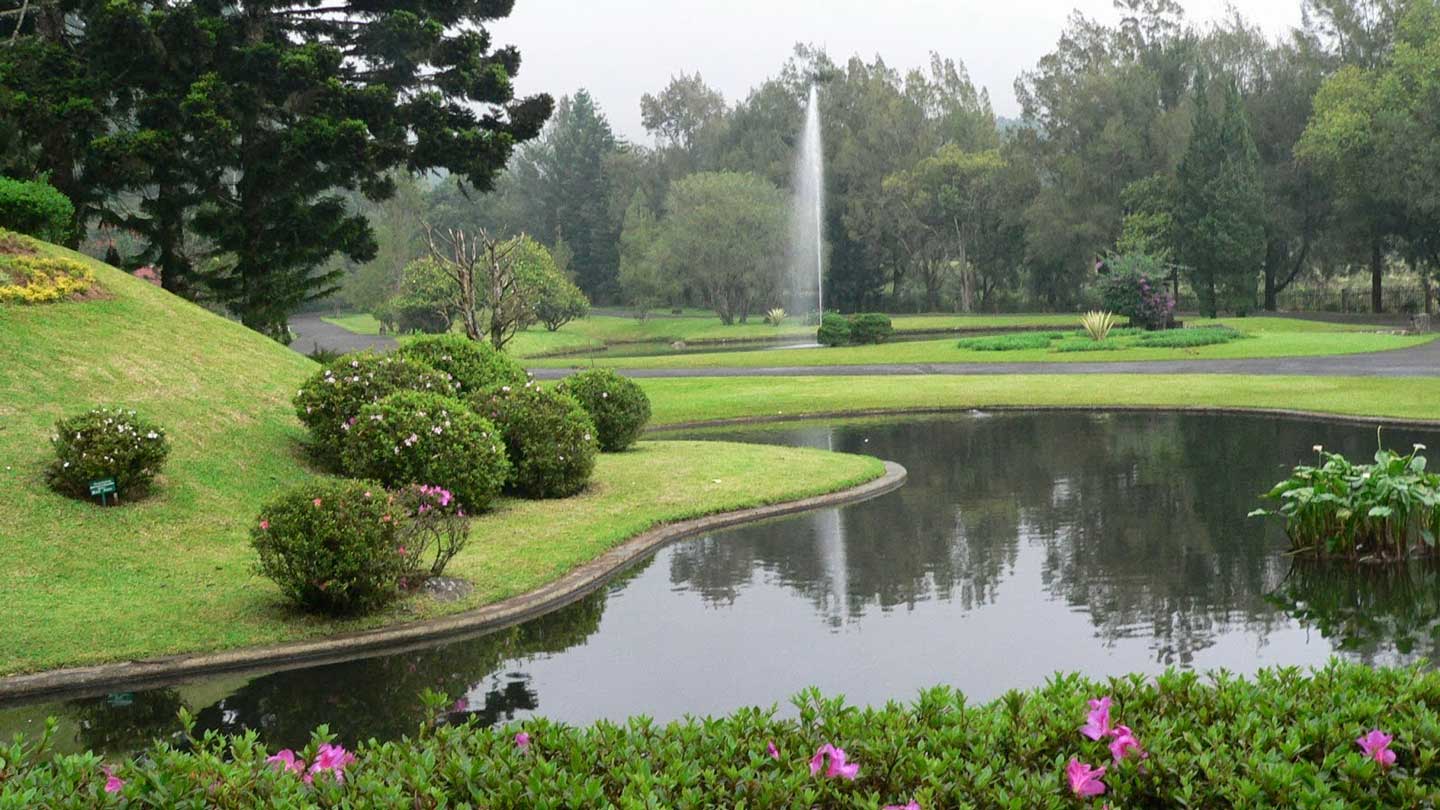 15 Things to Do in Cibodas Botanical  Garden  Bogor  