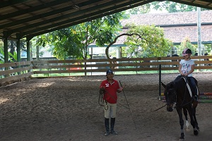 Best Place to Do Horseback Riding Jakarta - Spots and Recommendation