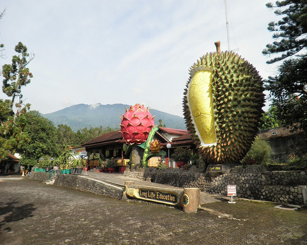 Things to Do in Indonesian Safari Park Cisarua Bogor : Cool Locations of a Cool City