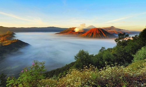 How to Get to Mount Bromo from Yogyakarta : The 3 Ways to Go