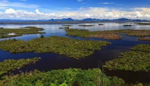 Lake Sentarum, West Kalimantan, Indonesia