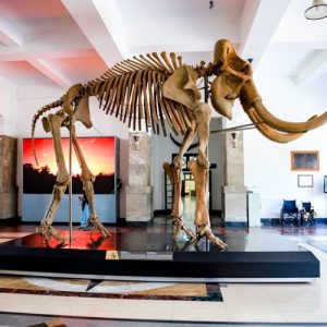 Geology Museum