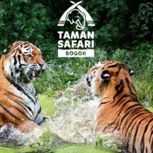 Taman Safari Cisarua