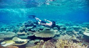 Diving in Togean Island