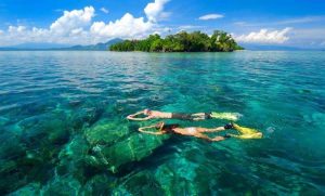 Underwater activity in Lembeh Island