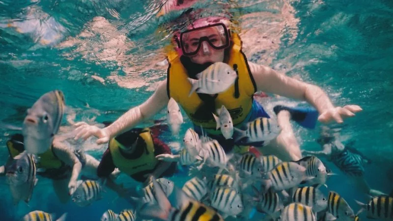 Playing with the fish in Siladen Island