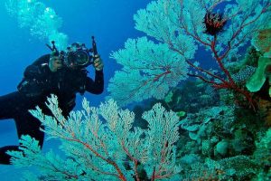 Diving in Takabonerate Marine Park