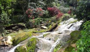 Waterfall in Aceh