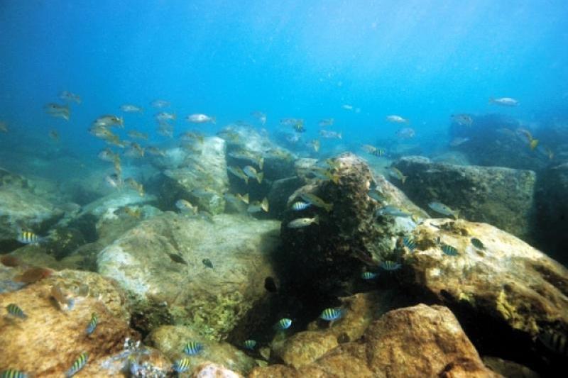 Diving Spots in East Nusa Tenggara