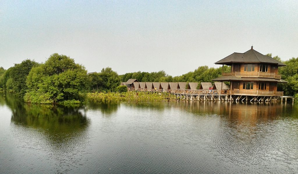 Mangrove Forests in Indonesia