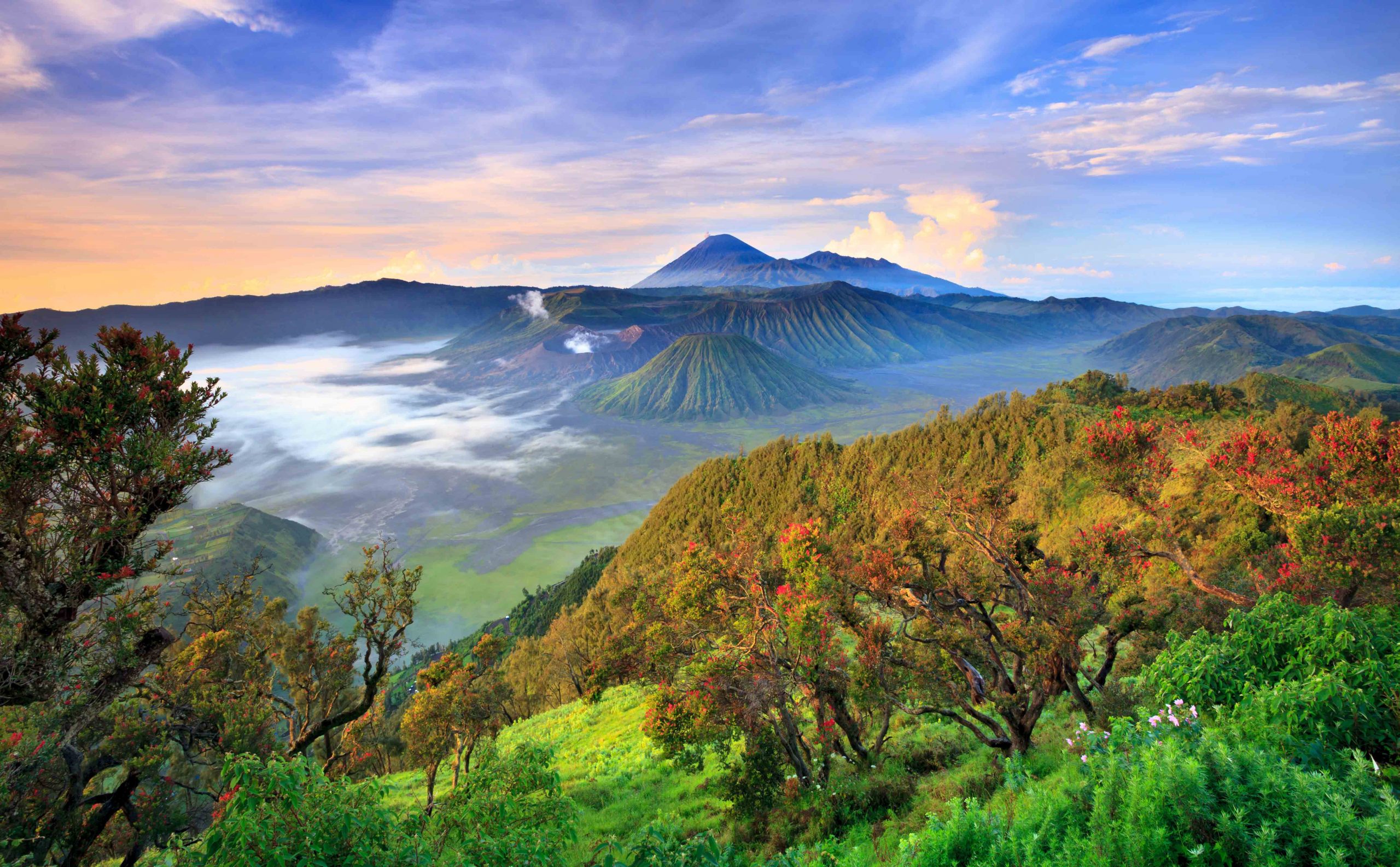 7 Best Hiking Spots in East Java that Grant You the Adventurous Beauty