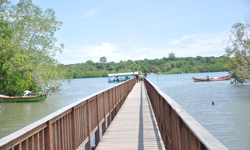 Mangrove Forests in Indonesia