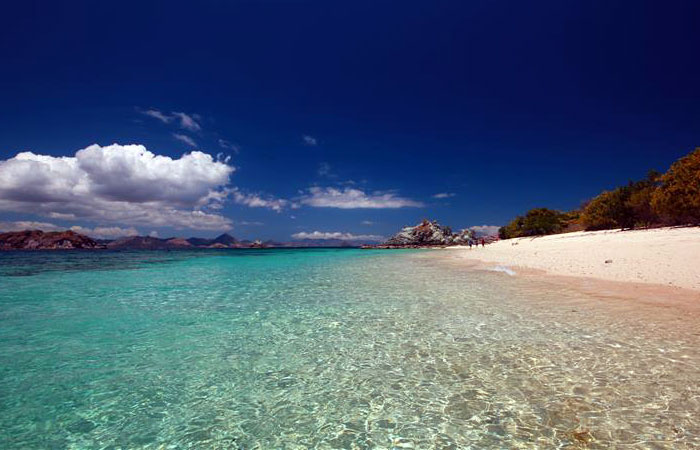 Diving Spots in East Nusa Tenggara