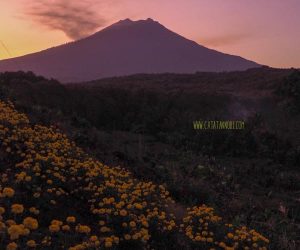 Sunset Viewing Spots in Banyuwangi