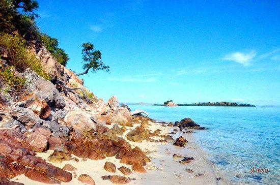 Diving Spots in East Nusa Tenggara