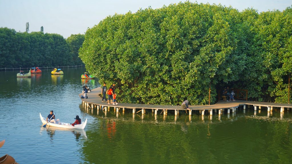 Mangrove Forests in Indonesia