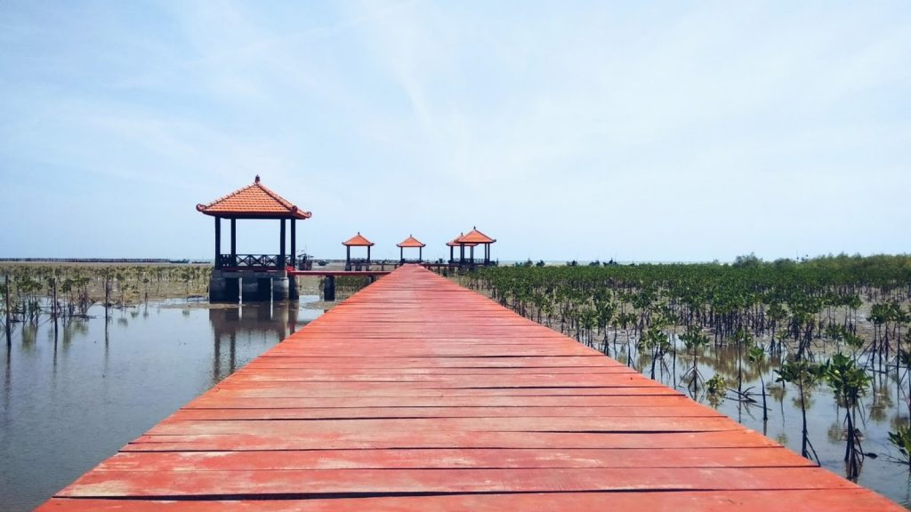 Mangrove Forests in Indonesia