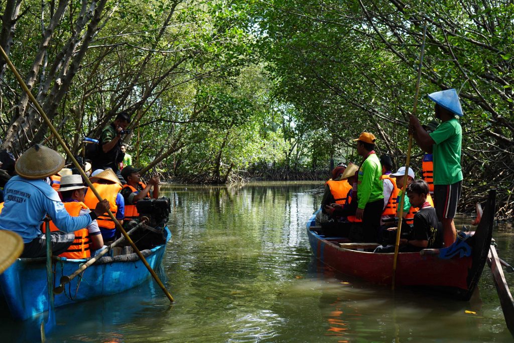 Mangrove Forests in Indonesia