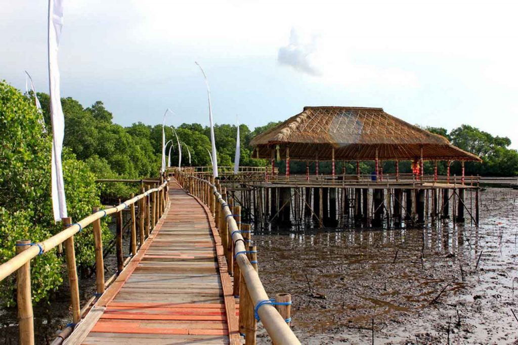 Mangrove Forests in Indonesia