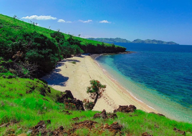 Diving Spots in East Nusa Tenggara