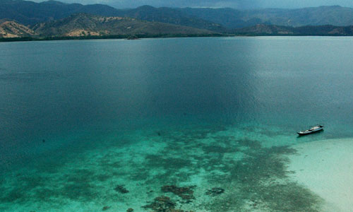 Diving Spots in East Nusa Tenggara