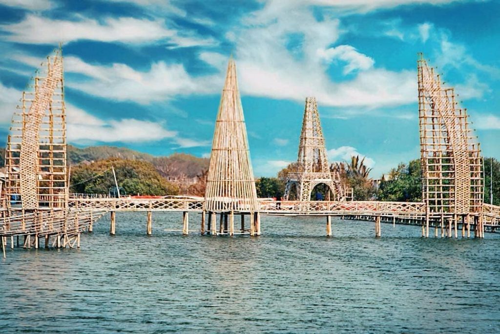 Mangrove Forests in Indonesia
﻿